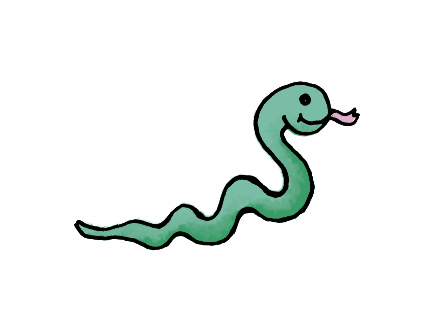 Week 11 Blog: Snakes – The Silent Predators of the Swamp